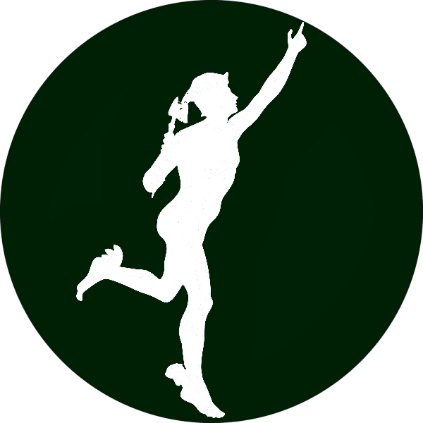 Media Partner